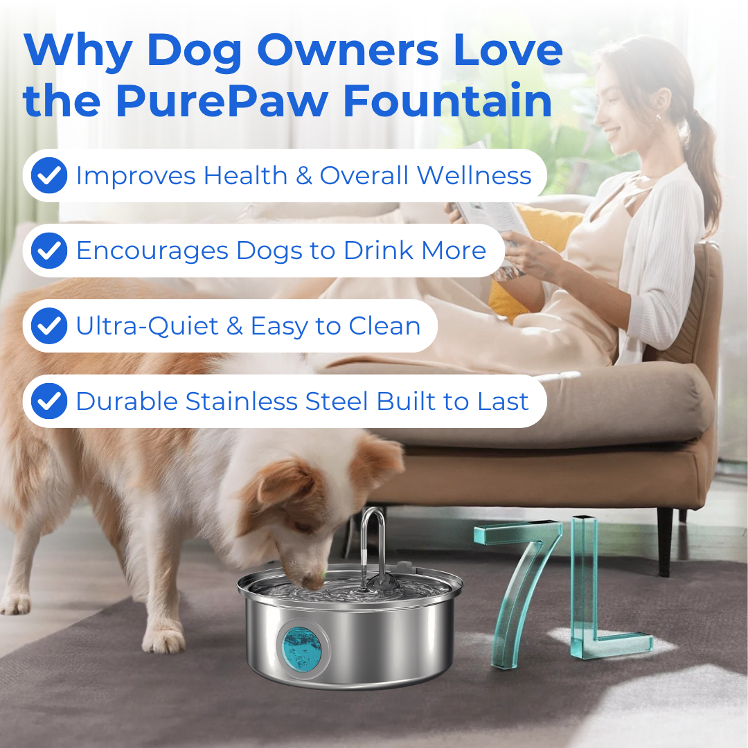 PurePaw™ Health and Happiness Fountain Kit