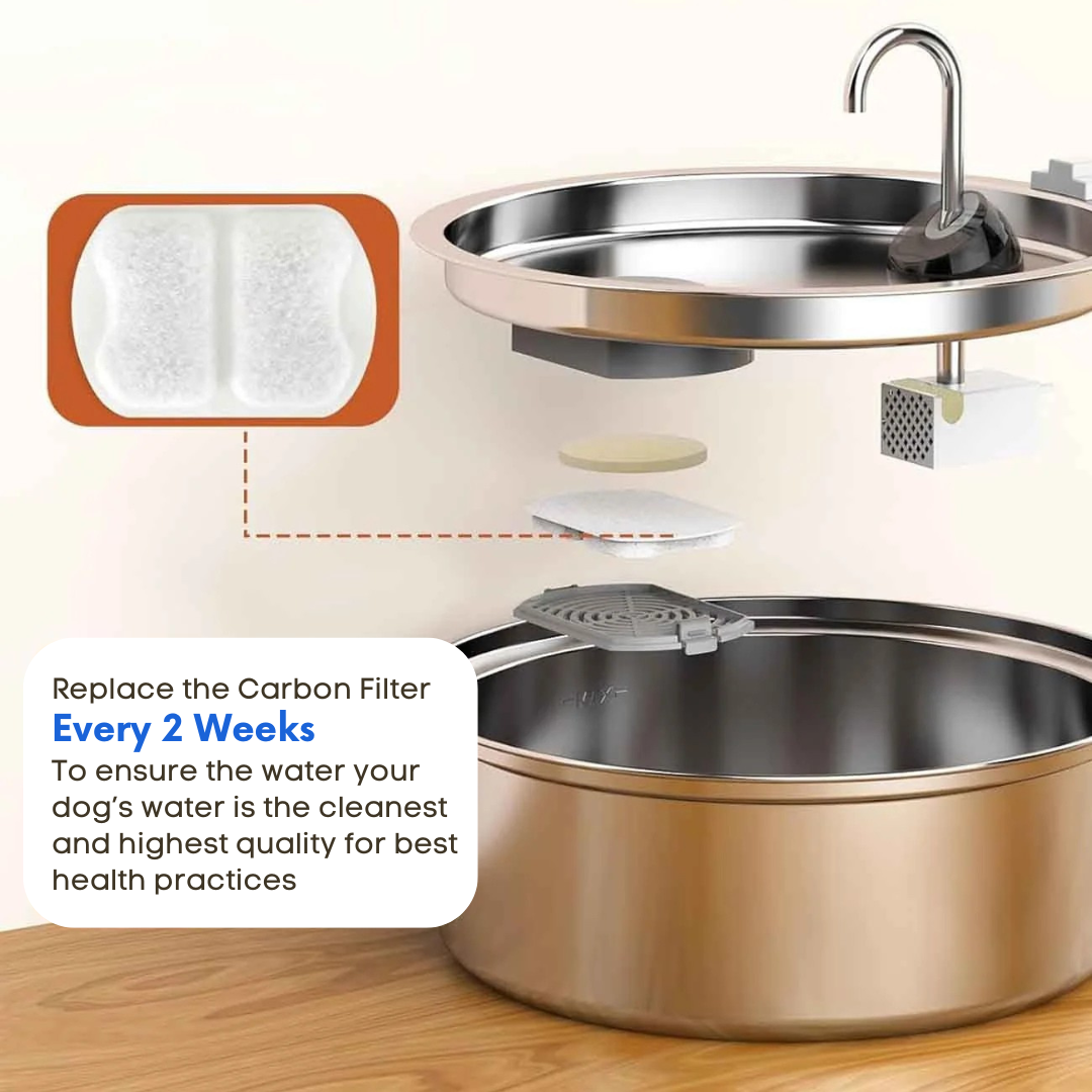 PurePaw™ Health and Happiness Fountain Kit