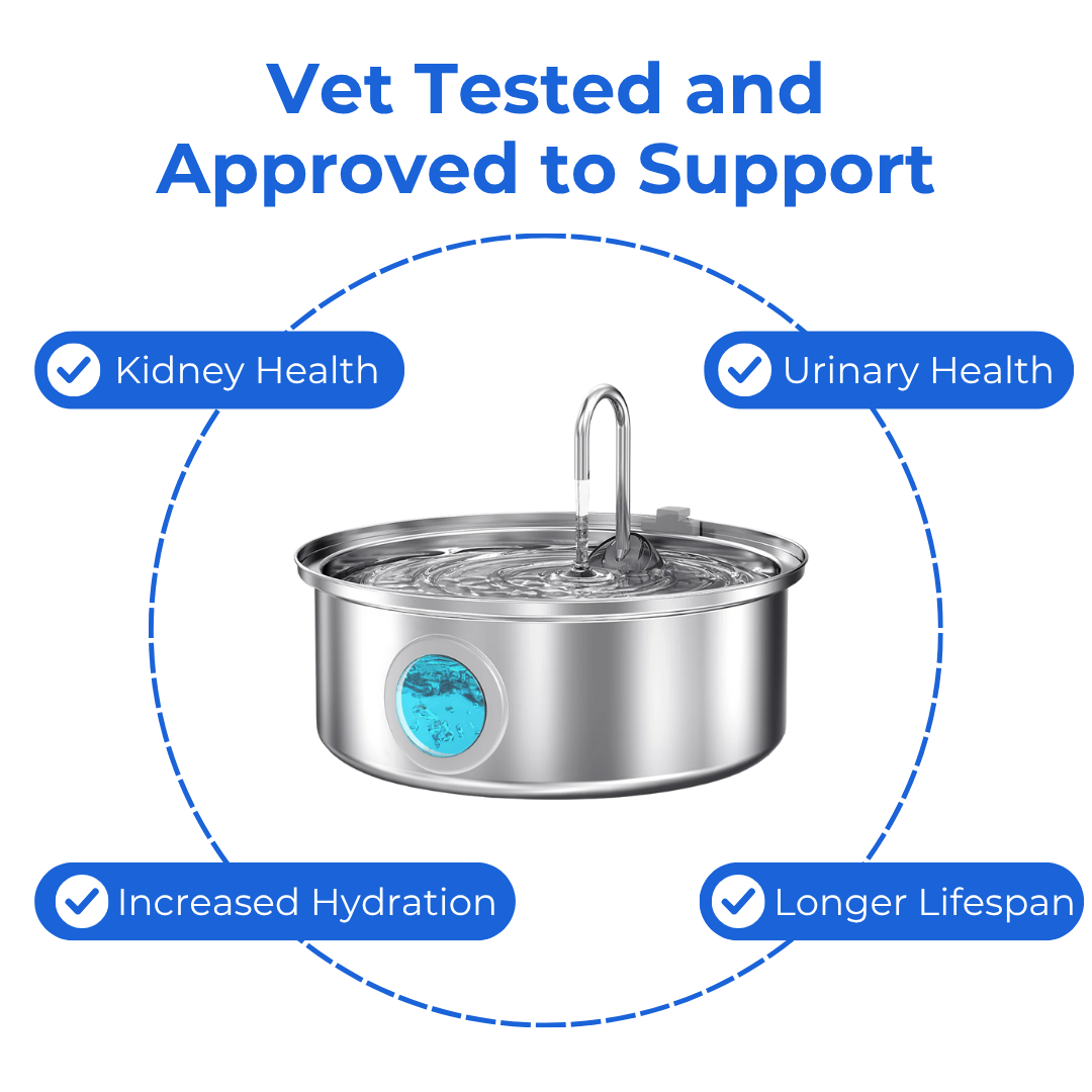 PurePaw™ Health and Happiness Fountain Kit