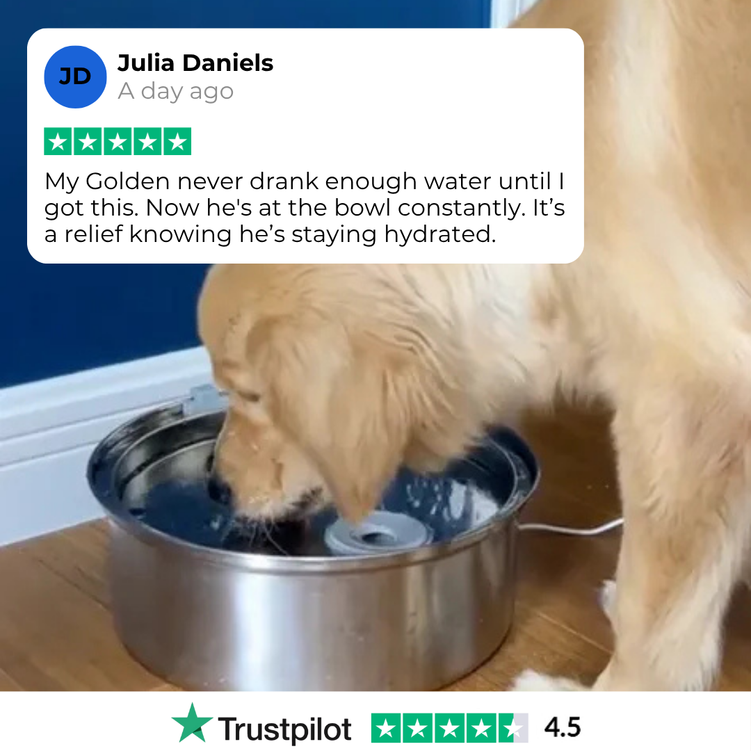 PurePaw™ Health and Happiness Fountain Kit