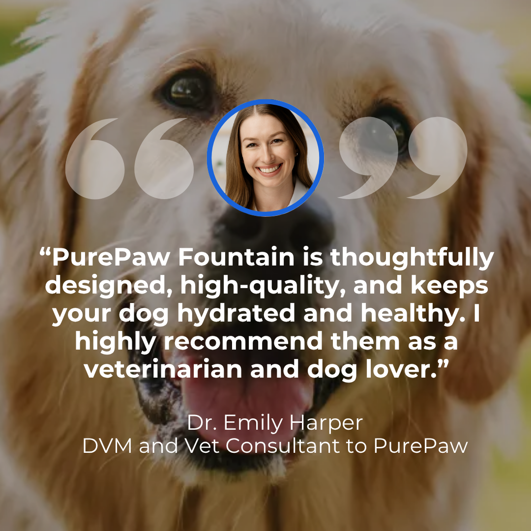 PurePaw™ Health and Happiness Fountain Kit