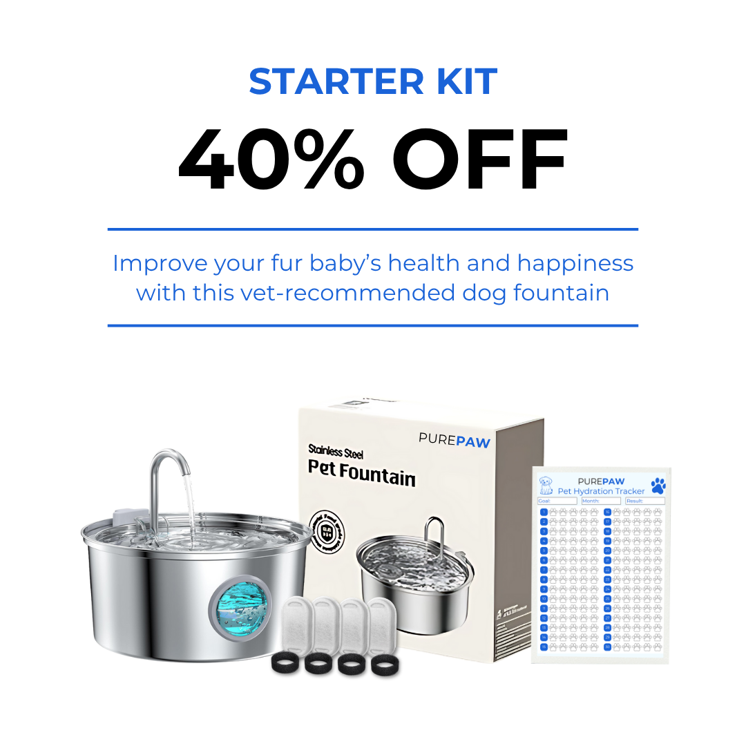 PurePaw™ Health and Happiness Fountain Kit