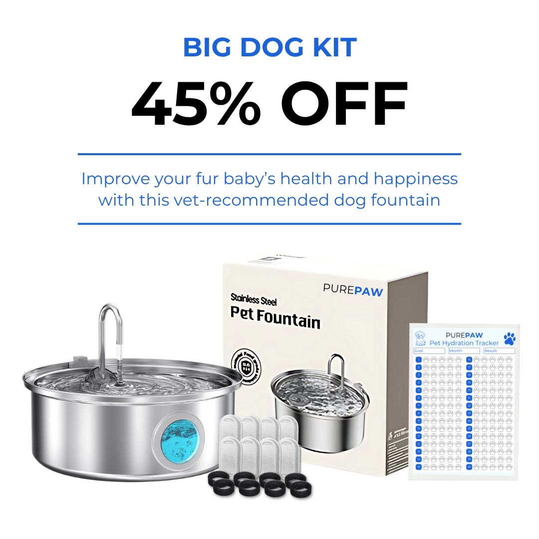 PurePaw™ Health and Happiness Fountain Kit