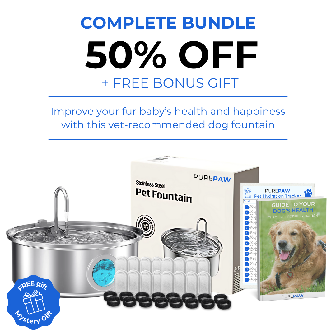 PurePaw™ Health and Happiness Fountain Kit