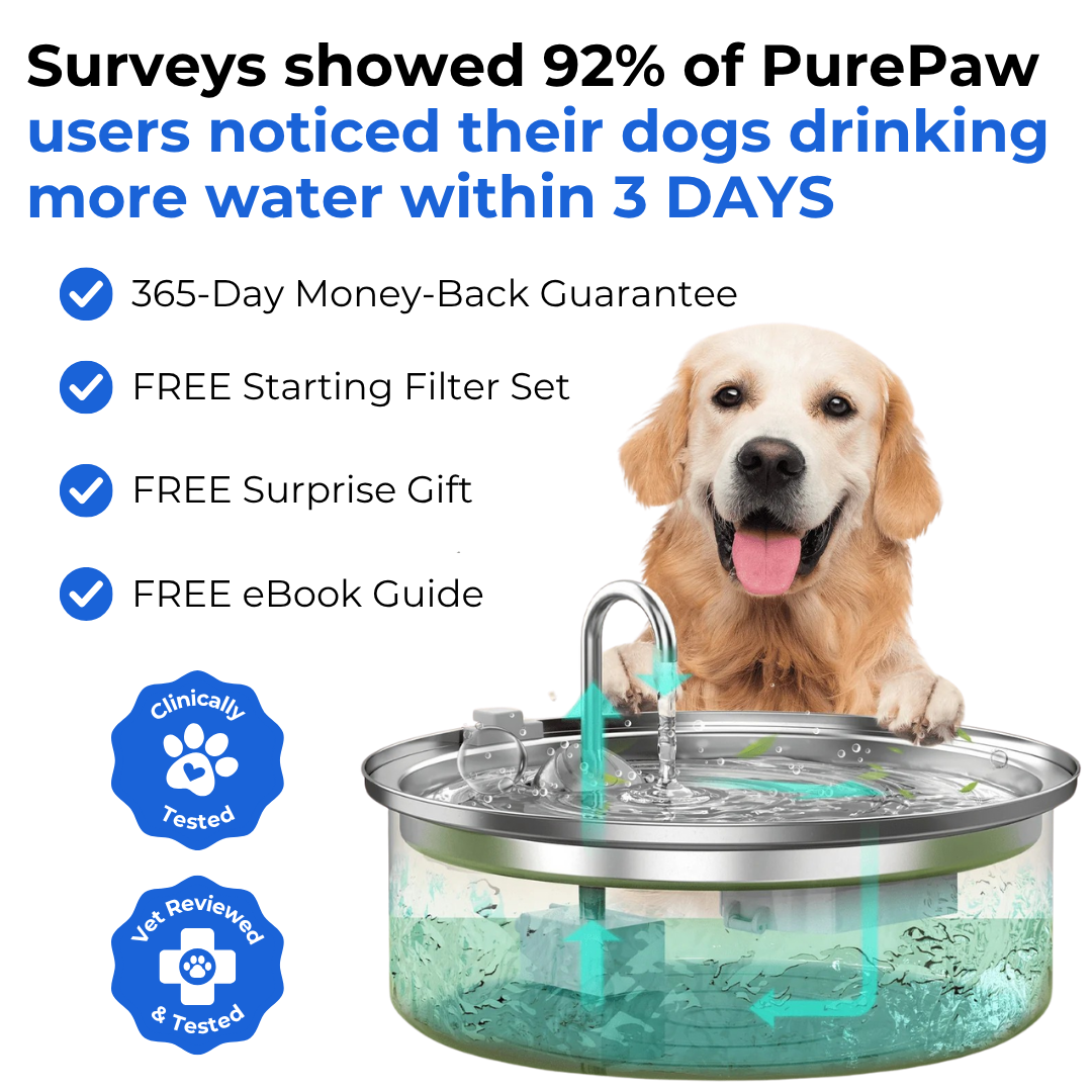 PurePaw™ Health and Happiness Fountain Kit