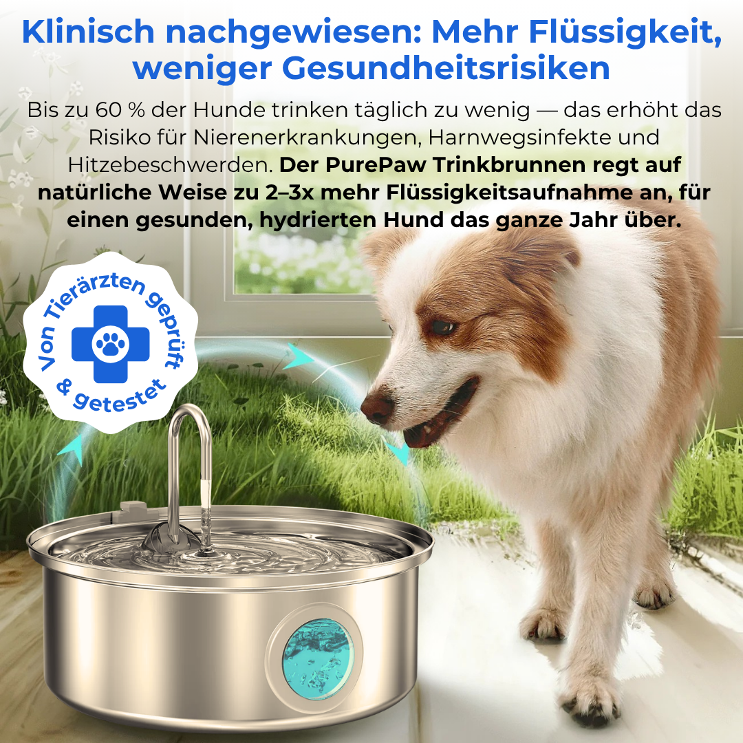 PurePaw™ Wohlfühl-Trinkbrunnen-Set