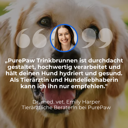 PurePaw™ Wohlfühl-Trinkbrunnen-Set