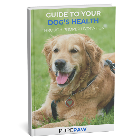 The Hydrated Pup: A Guide to Your Dog’s Health Through Proper Hydration eBook