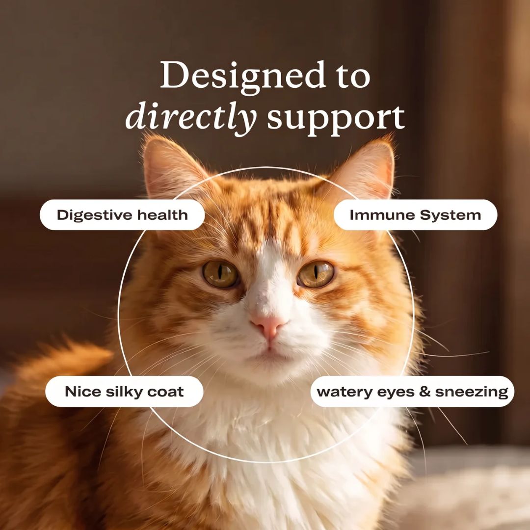 PurePaw™ Immune & Eye Support Drops