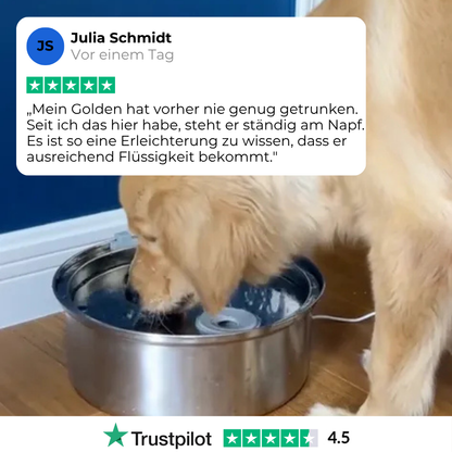 PurePaw™ Wohlfühl-Trinkbrunnen-Set