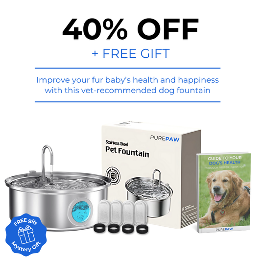 PurePaw™ Health and Happiness Fountain Kit