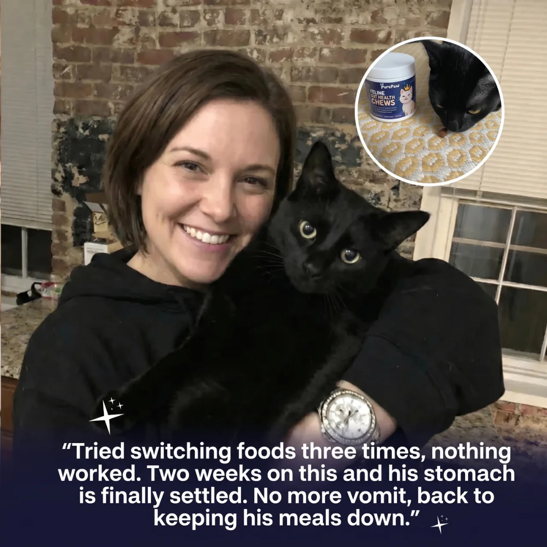 PurePaw™ Feline Gut Health Chews