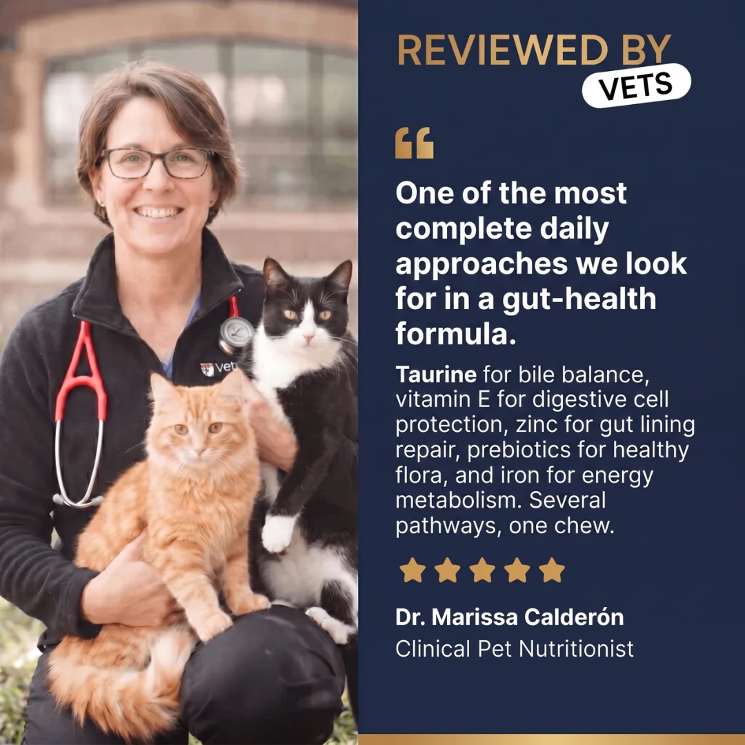 PurePaw™ Feline Gut Health Chews