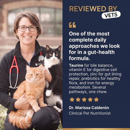 PurePaw™ Feline Gut Health Chews