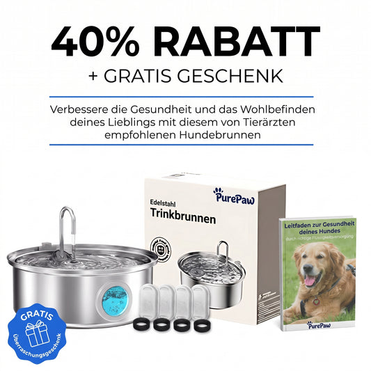 PurePaw™ Wohlfühl-Trinkbrunnen-Set