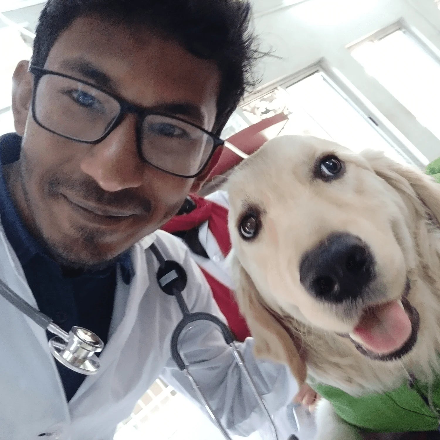 files/FurLife_Flea_and_Tick_Tags.webp