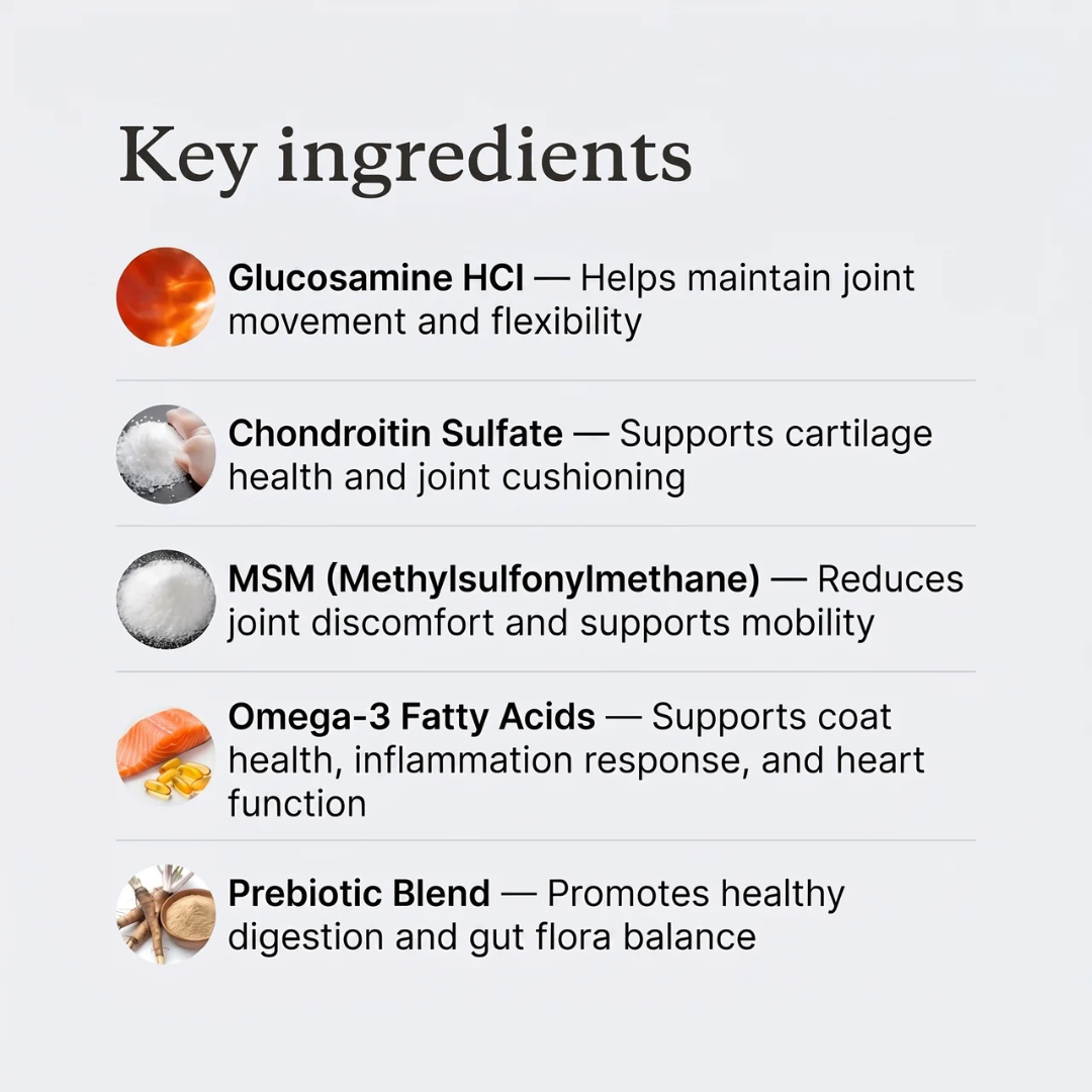 PurePaw™ Feline Daily Multivitamin Chews